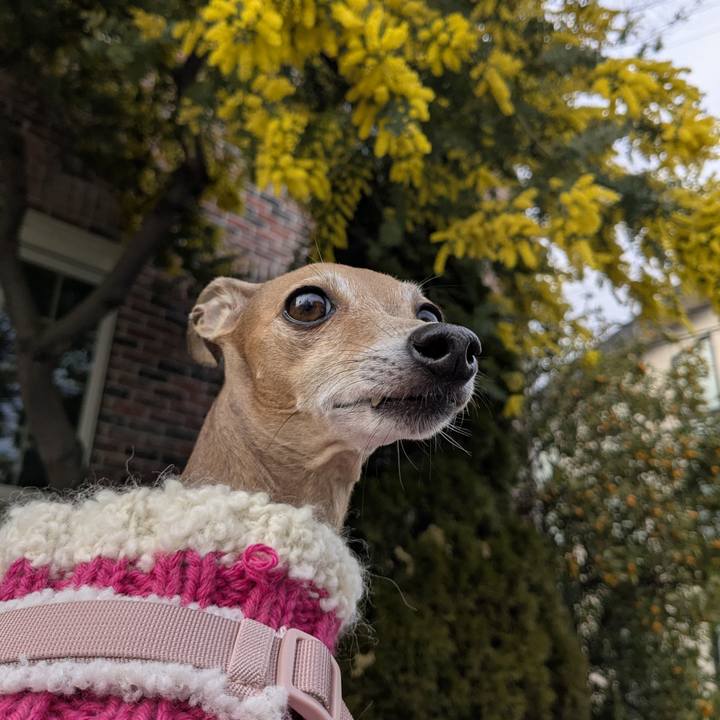 Dd806299 2814 4082 95de 83d72490d1ee 1772799140379