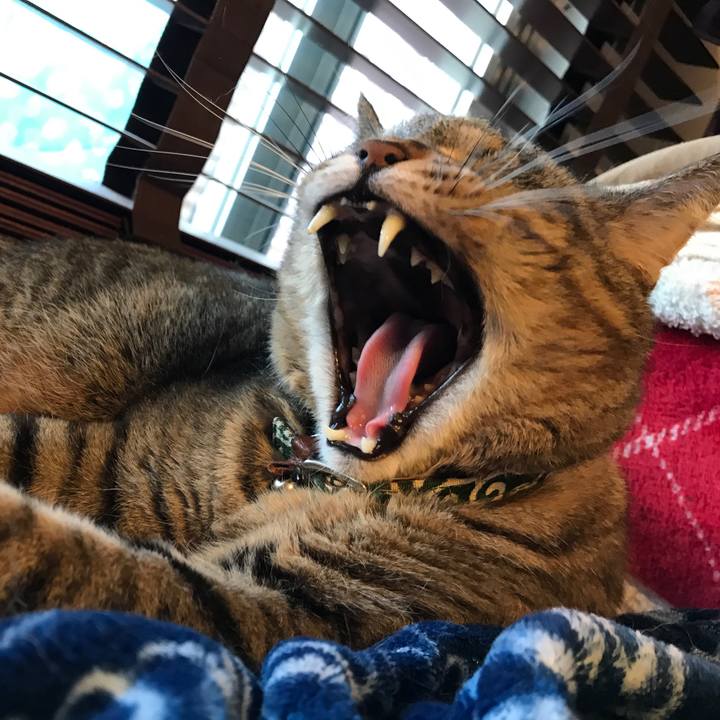 Dd807513 5543 42ed a327 f8b9e6f9651c 1556893151814