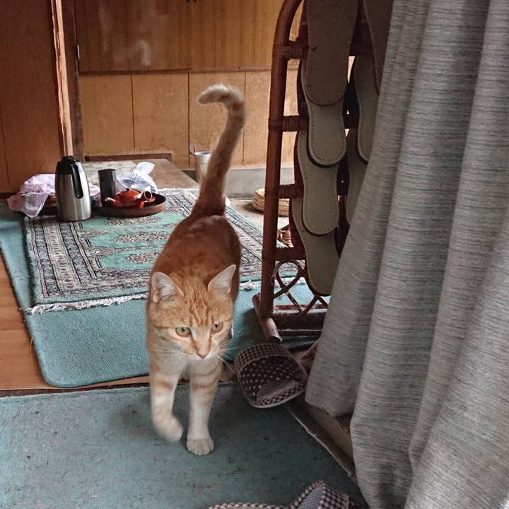 Dd80ac0c 13fe 4f8d 8e23 21d1388e3bcf 1589793859790