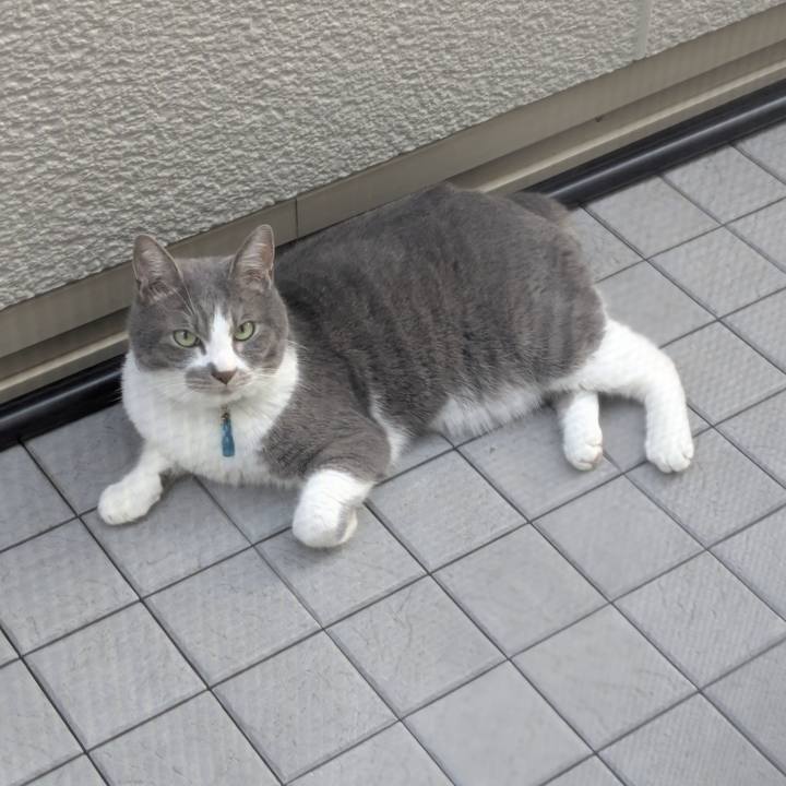 Dd80bac6 3f4a 468e bc77 704d1d164b3b 1751188759770