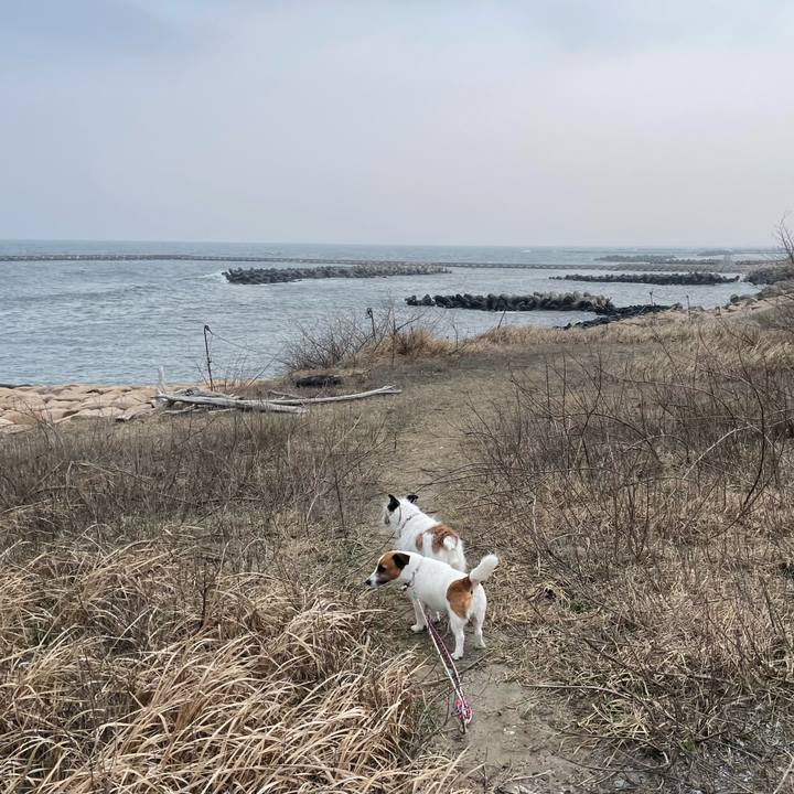 Dd80bf71 f55f 478f 9898 4ada851db483 1742951413733