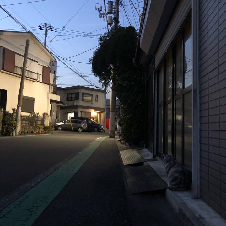 Dd80d2bd 4308 4c59 9141 46ff02d79042 1583131848691