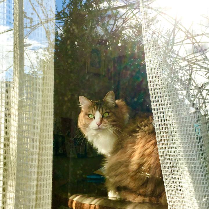 Dd80daae de59 4efb ad17 77b9fa256ce3 1614570027374