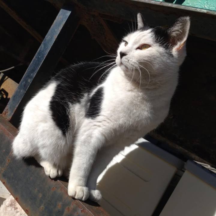 Dd810149 d02f 448c 8a5d d6509f368fe0 1733809412902