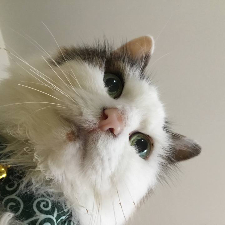 Dd810197 6e53 4f0f ac74 6dfc371f475d 1573180128495