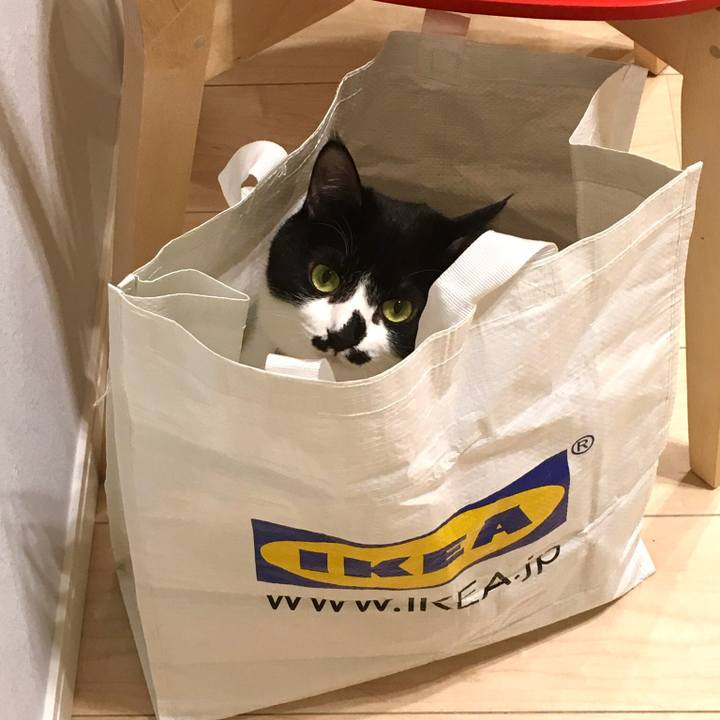 Dd812616 da0e 4a2e a100 b2bb85fc0746 1516716469664