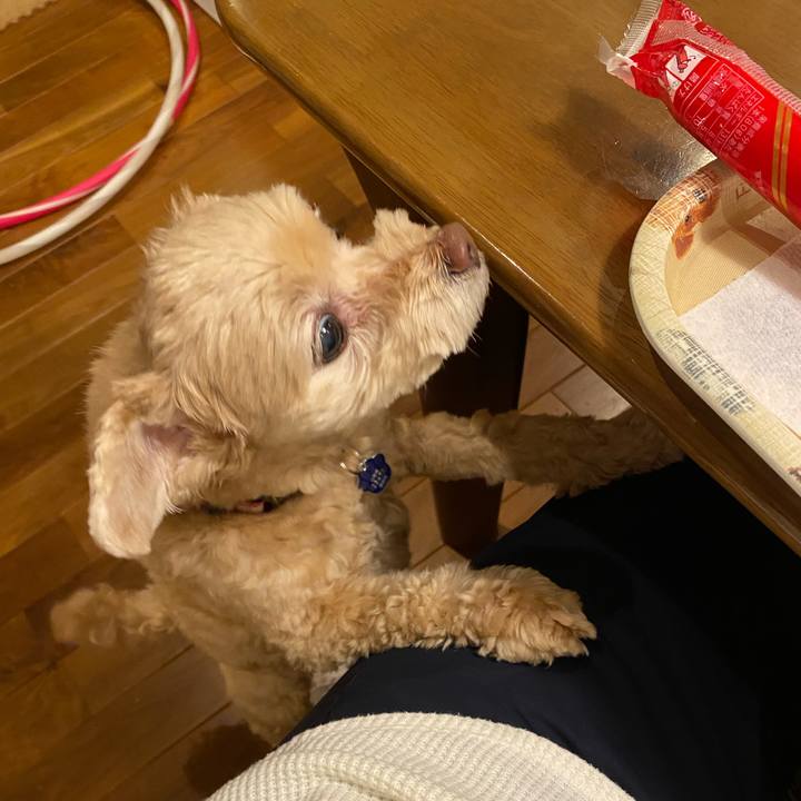 Dd815642 4f44 457b 987f 672265a211a4 1635408980541