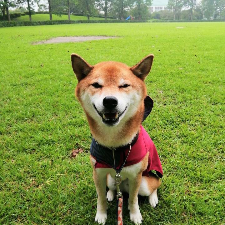 Dd819604 1369 451b 9db4 cc9d64b225c8 1630453739359