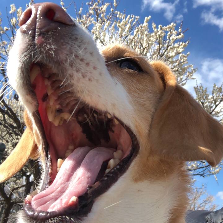 Dd81b66d 9843 43fc aab2 f9c2c40367ef 1613642526626