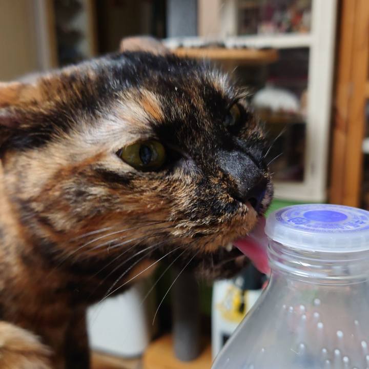 Dd81ca74 7e13 4f78 85aa 2ba9b6595529 1611878510321