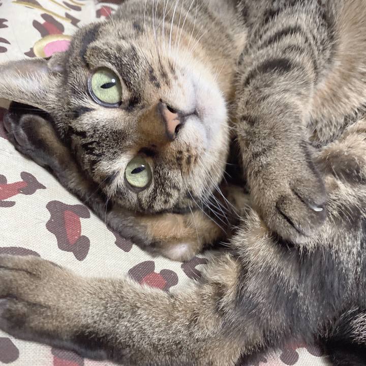 Dd81e81a 80c7 4d45 a662 a2afabff3d2b 1645418120368