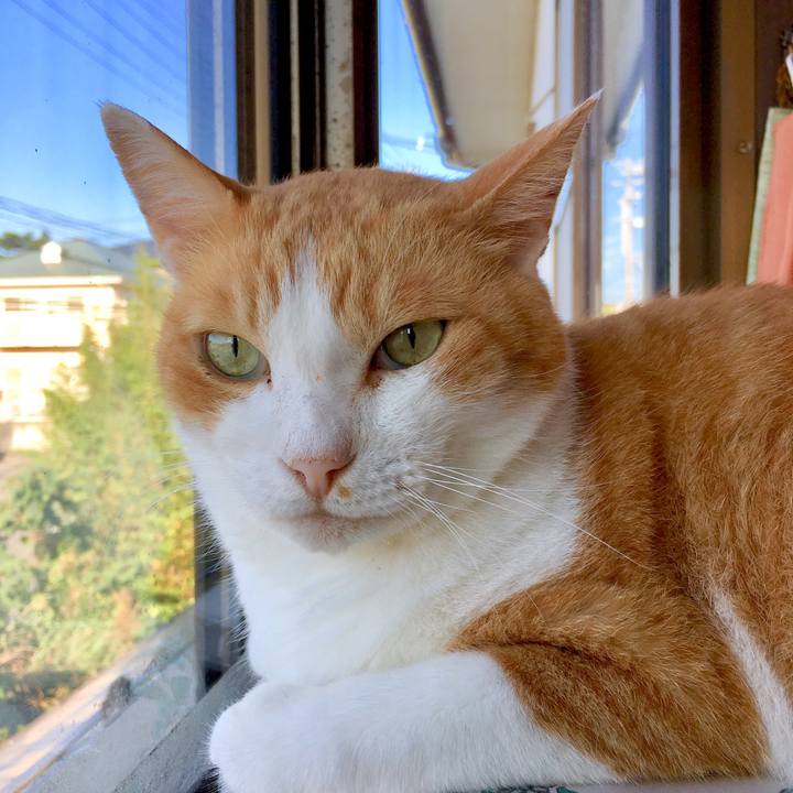 Dd824f1c f633 403f abc1 c7ceeaaeadfc 1570071532872