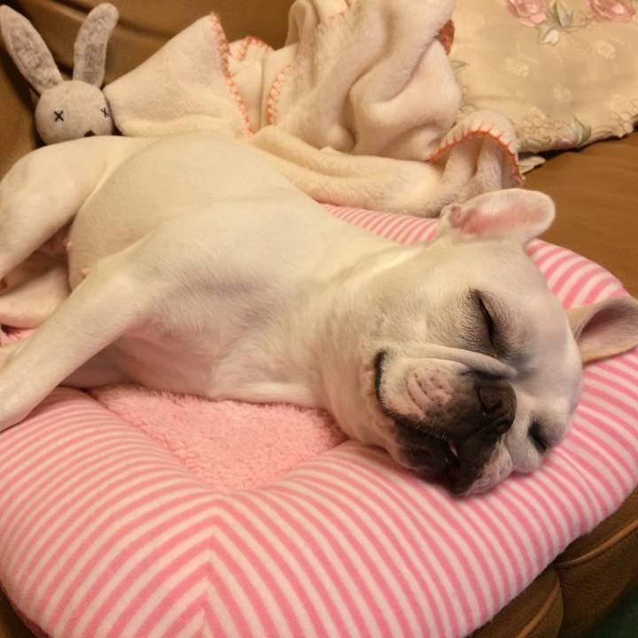 Dd82660e 40a1 43ed 9b60 1aff87a13fd2 1529418886286