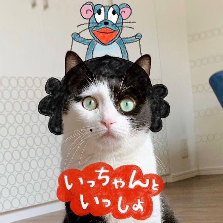 Dd8294e3 c62e 4158 823c c1ed9b7cf3bd 1637679885691