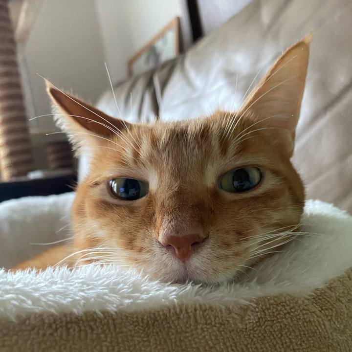 Dd82b851 f5b3 4515 95a0 469e4f4f365b 1702140785793