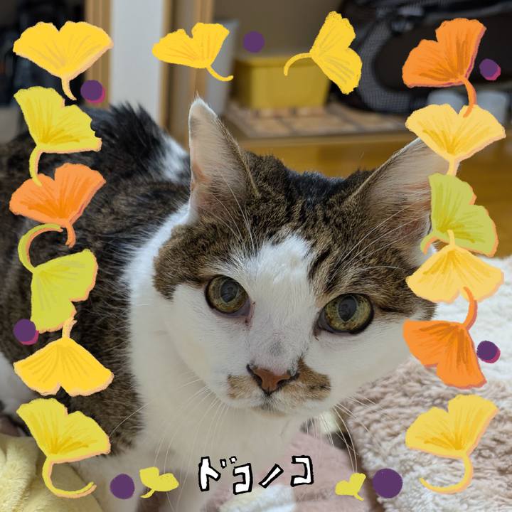Dd830336 740b 4601 8ddd 39a7dd268770 1731183122600