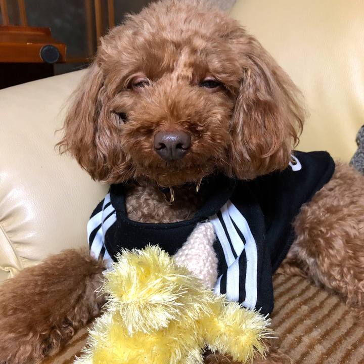 Dd8313b6 725a 45f6 9a2b f15a1f314f8d 1550051740162