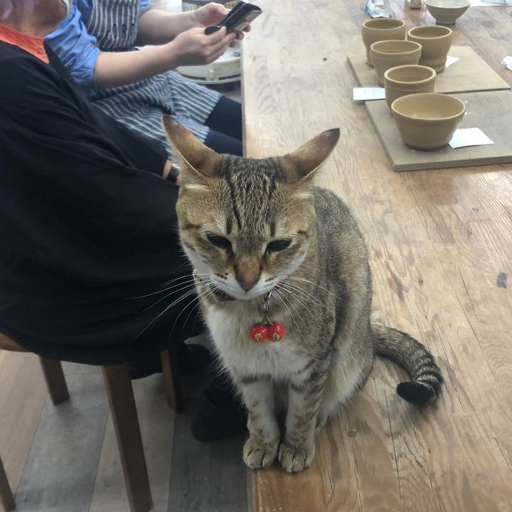 Dd832134 2da2 4087 9eef 03d663309ee0 1647588463308