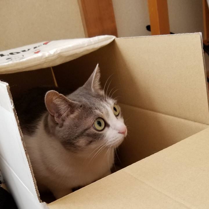 Dd832425 95f8 40ae 841d 79ac28119dd3 1548293888820