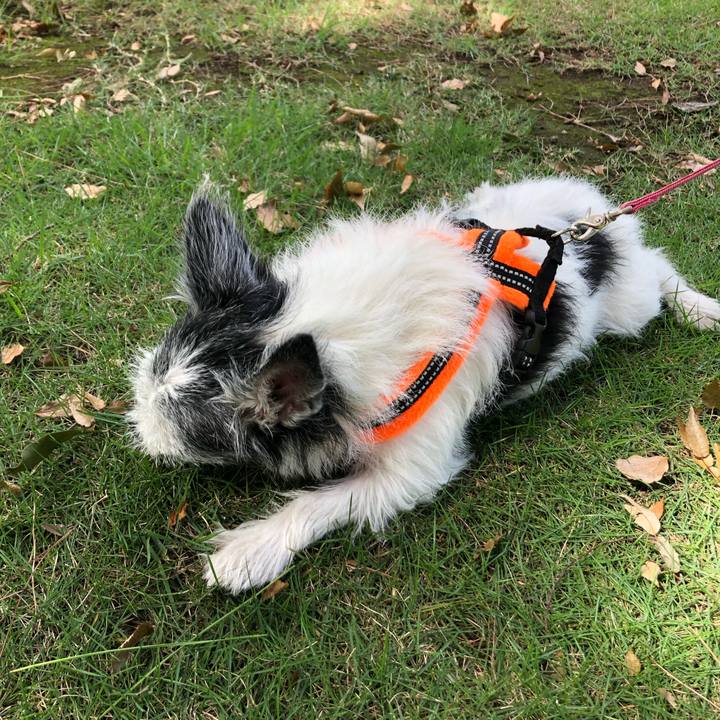 Dd832aa0 1f10 4048 88bf b285e70af3fe 1568548887625