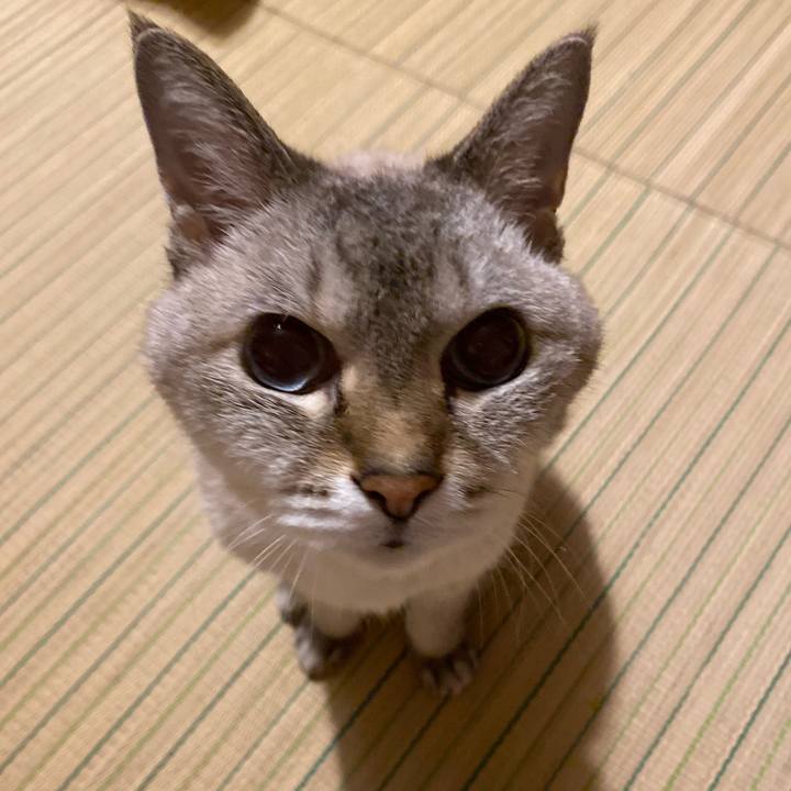 Dd834e1e 94ca 412d 817e 459f67d305d4 1595501978851