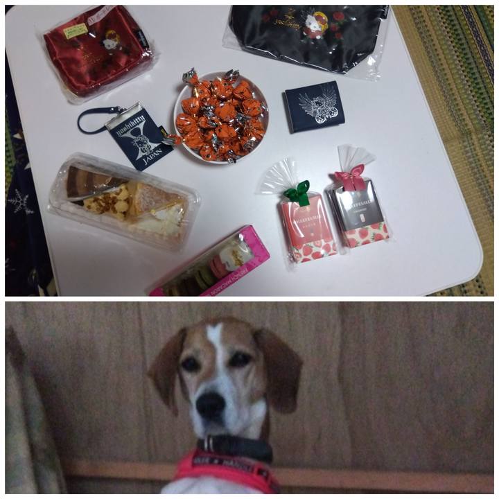 Dd839b11 9292 4313 8785 40d98a903caf 1700557974762