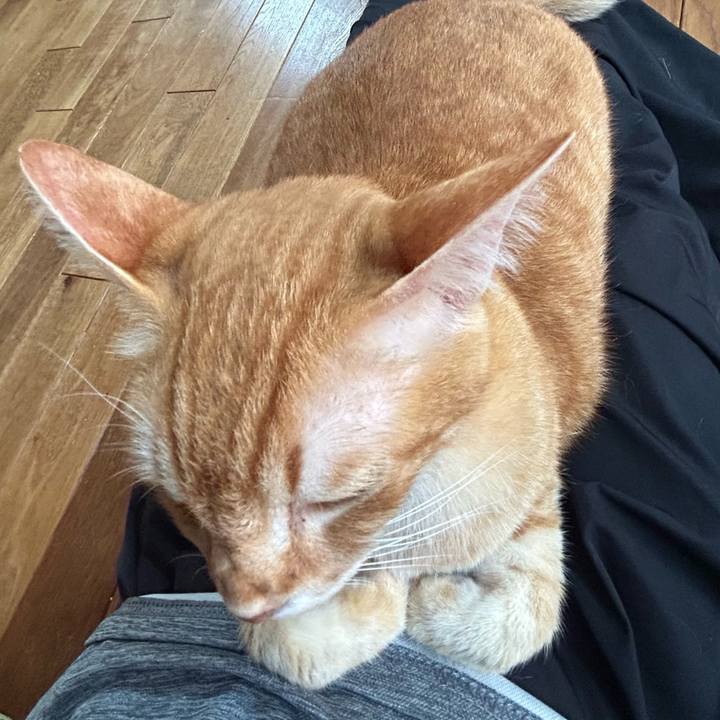 Dd83a368 5410 419b b639 c5f0a89b7ea0 1686993005038