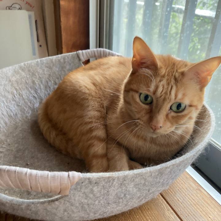 Dd83aa8c 471a 4358 99cd 45f364e0e481 1729727804644