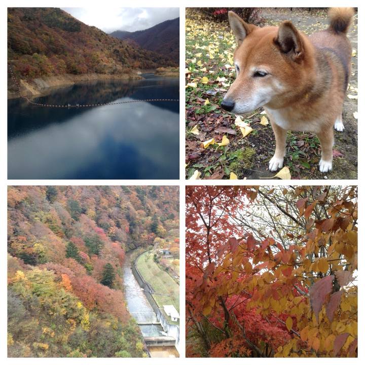 Dd8403d5 3b33 4ed5 b5e8 75f149c18146 1541502576083