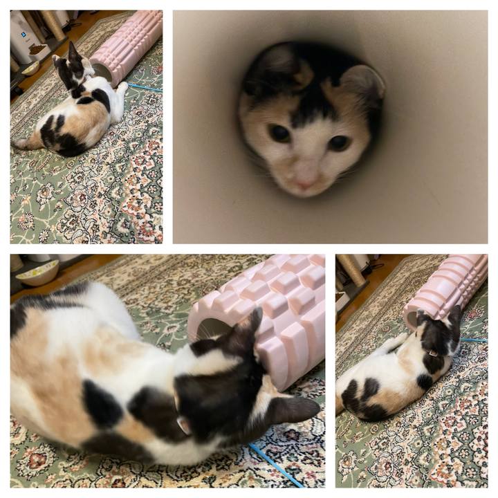 Dd841972 2450 4c30 a2db 66e6aaa06372 1683551559498