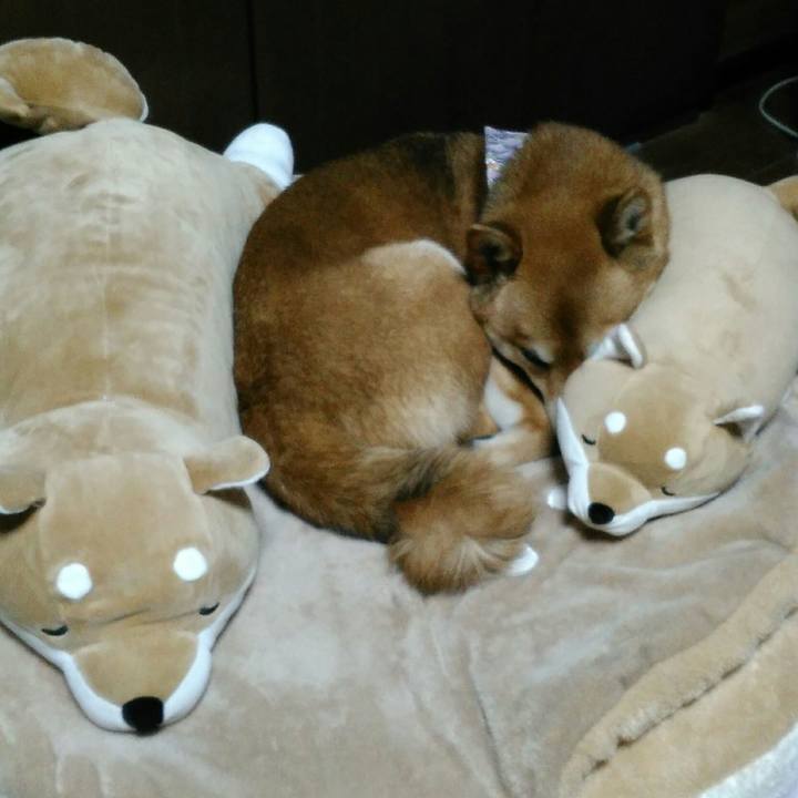 Dd841e4c f2f5 4bf2 9d9e 417191ba7d79 1520258785483