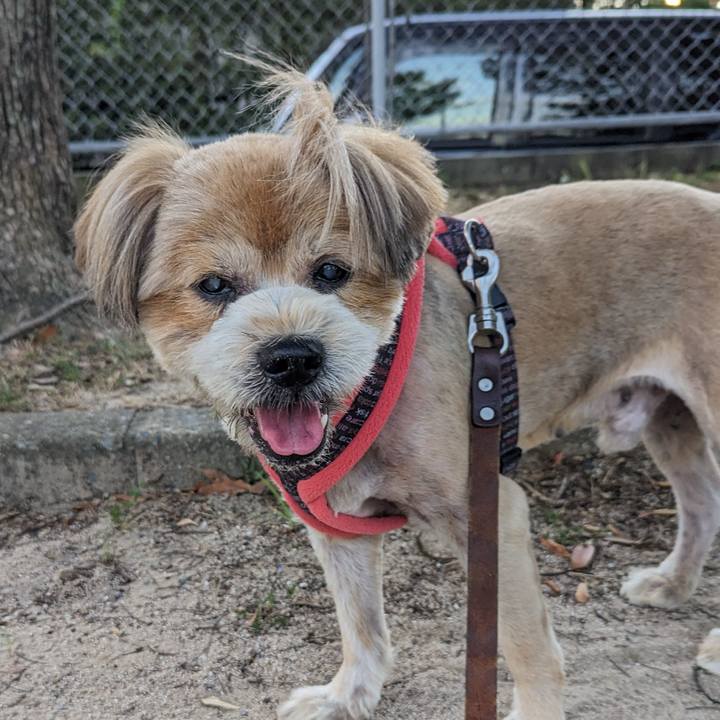 Dd843159 929a 4f26 b6d1 20f6eb88a22d 1691057851046