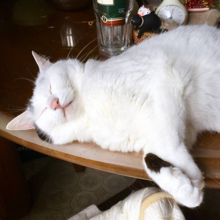 Dd8432a4 8820 448b 877b 81f8637af675 1562557060933