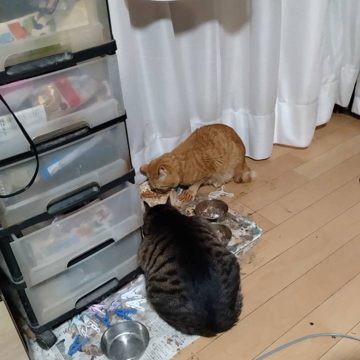 Dd84401b 36fb 473e 82d2 d468d07075cc 1712786893510