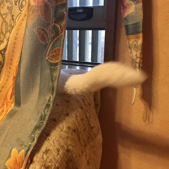 Dd846dd7 a4d4 4cbd bbc7 c9569a072d78 1507848522420