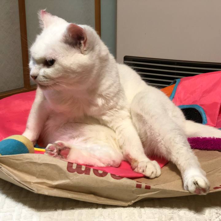 Dd846fe5 80c6 4ccb 8791 6496d83fe266 1535883793877