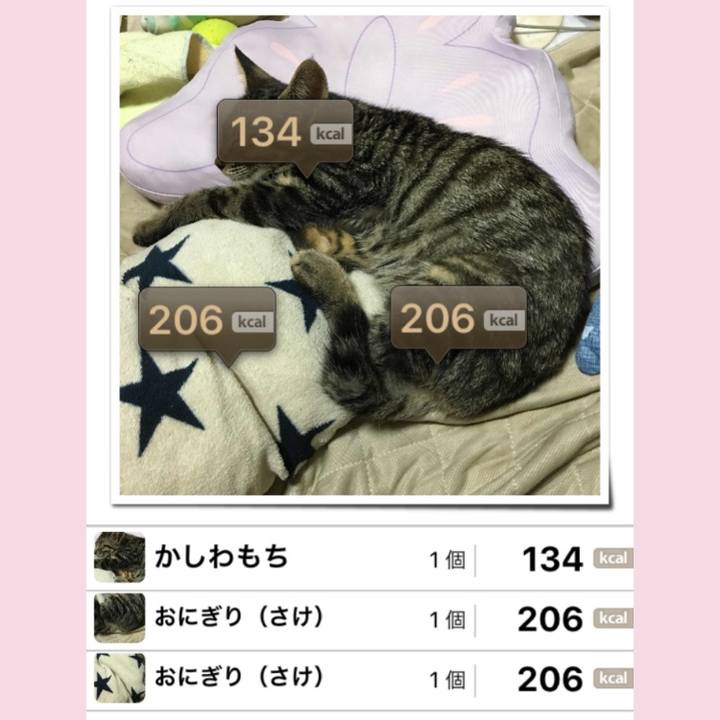 Dd8491c7 76c3 4c1a a8ed 7df5f9ab2c7e 1537443443288