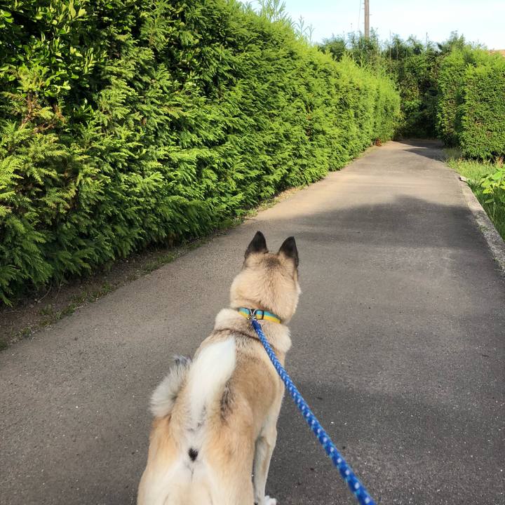 Dd84b35a 5b7d 476f 99a7 cf2f93de01c3 1627038941290