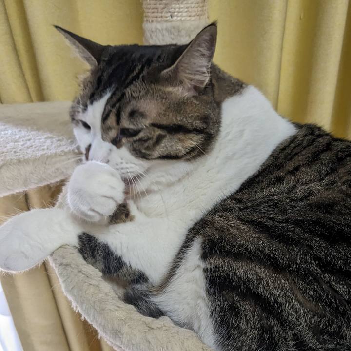 Dd84bc4f 7cf2 487a be1b 35e84fe98256 1693612647501