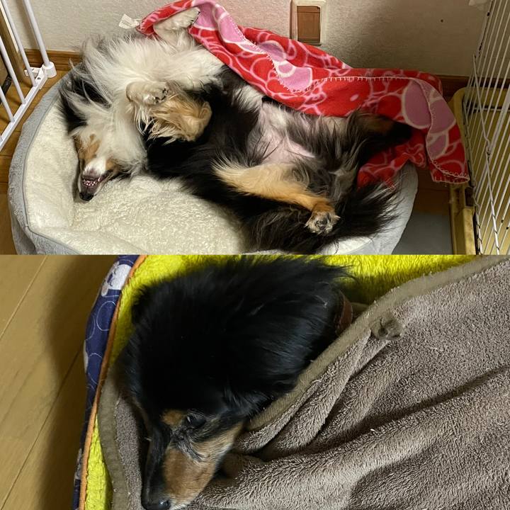 Dd84c73f 63cd 40fc a9df ab7b17955d48 1674310138604