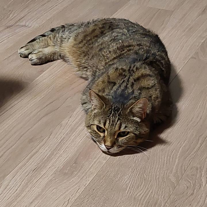 Dd850739 8231 4520 aa57 a67307a95a6a 1769117755192