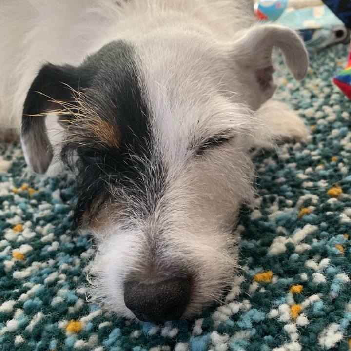 Dd854299 6b81 430e a623 e7bc3dc2eda1 1632367416817