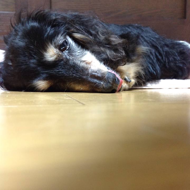 Dd857e7b 0ac1 4400 9e7a c50c508734ea 1636421996687