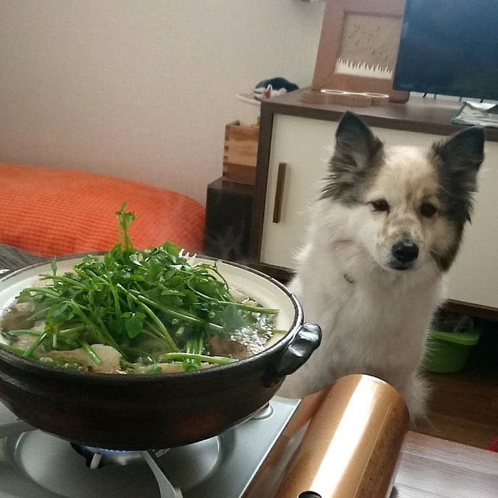 Dd85803a 6c33 43d8 84c1 708ed77d124a 1515929930961