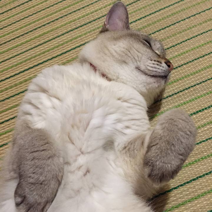 Dd859f6a 31d2 4359 a429 63b7eca68c0e 1533475983964