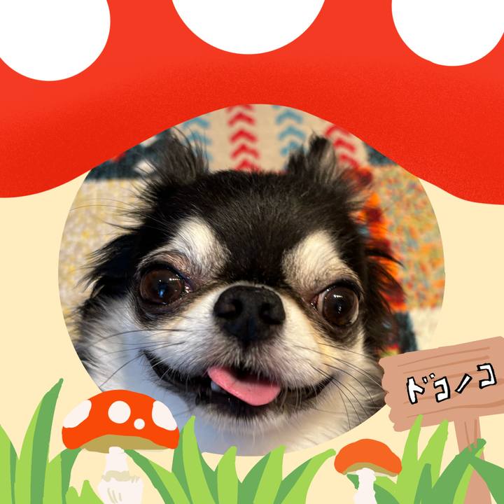 Dd85a215 89ee 4c7c 9ab1 0f530e93845f 1729295145241