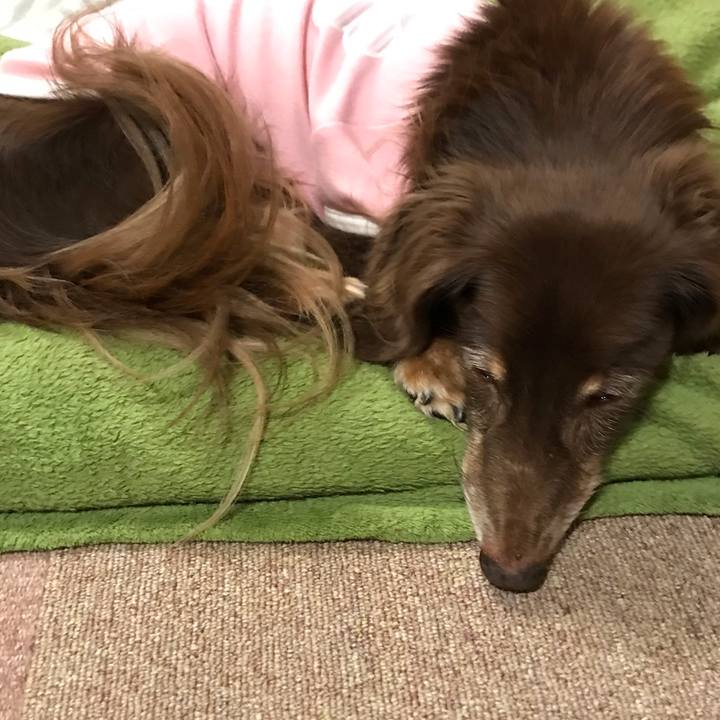 Dd85ef78 b186 40b0 a306 d6e8b23e49ed 1543313745944