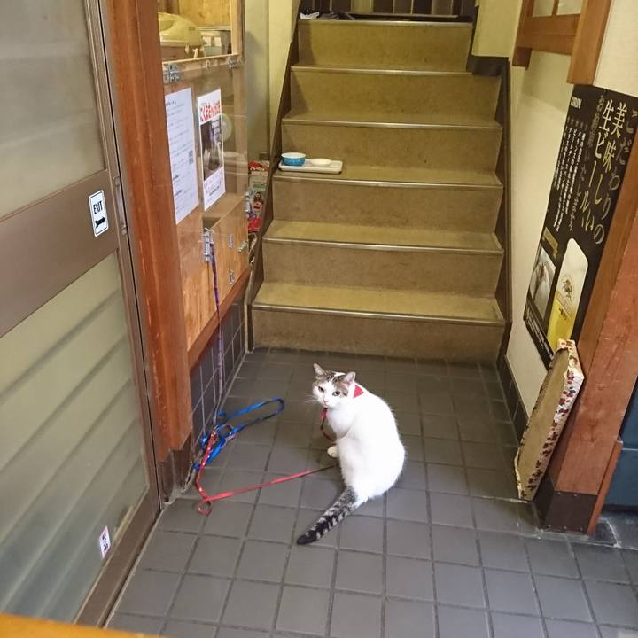 Dd8646d0 9f91 4bb3 8afe a2c17a1f8d05 1534161036078