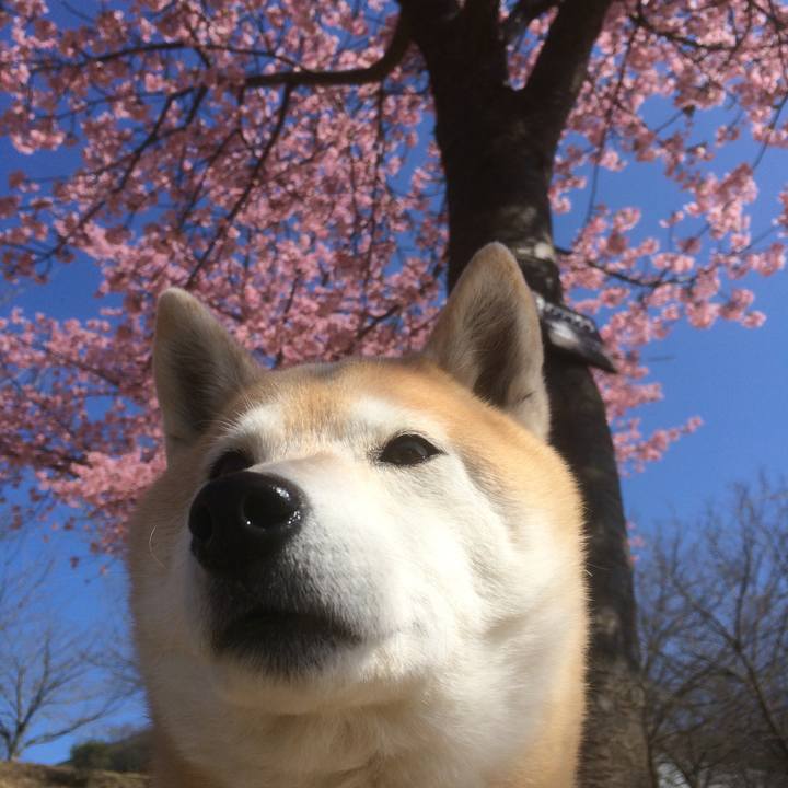 Dd8660b3 9097 4b28 a61e 18d9b305badf 1520163448593