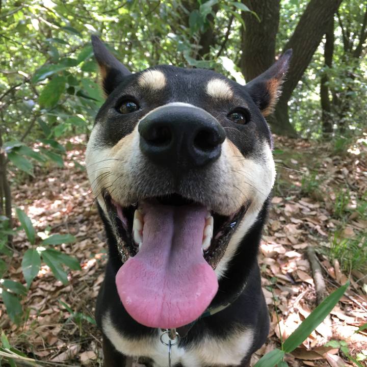 Dd86c799 8ef5 4f34 bf9a c8ed2d9457bc 1526831176310